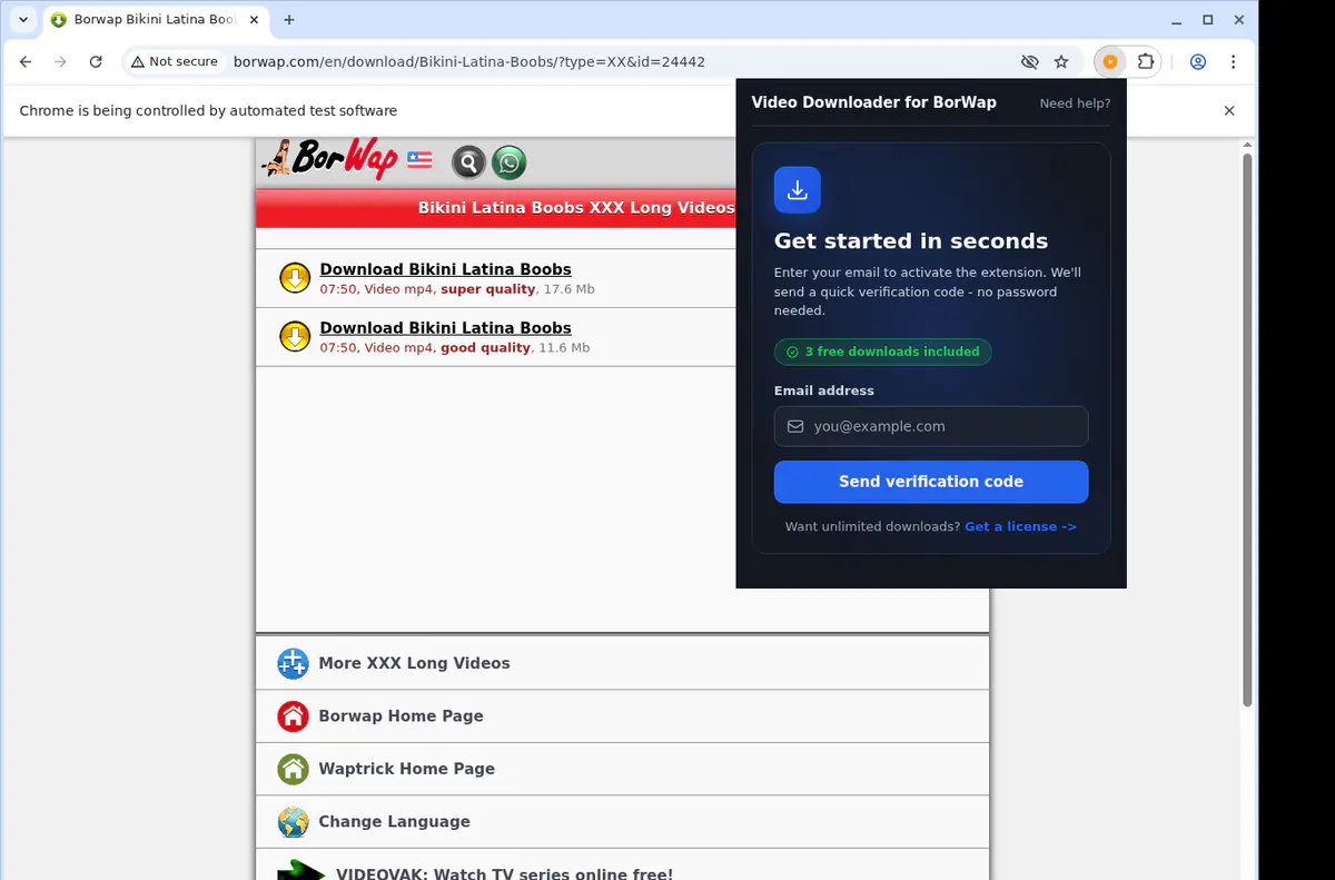 Borwap Video Downloader browser extension screenshot 3